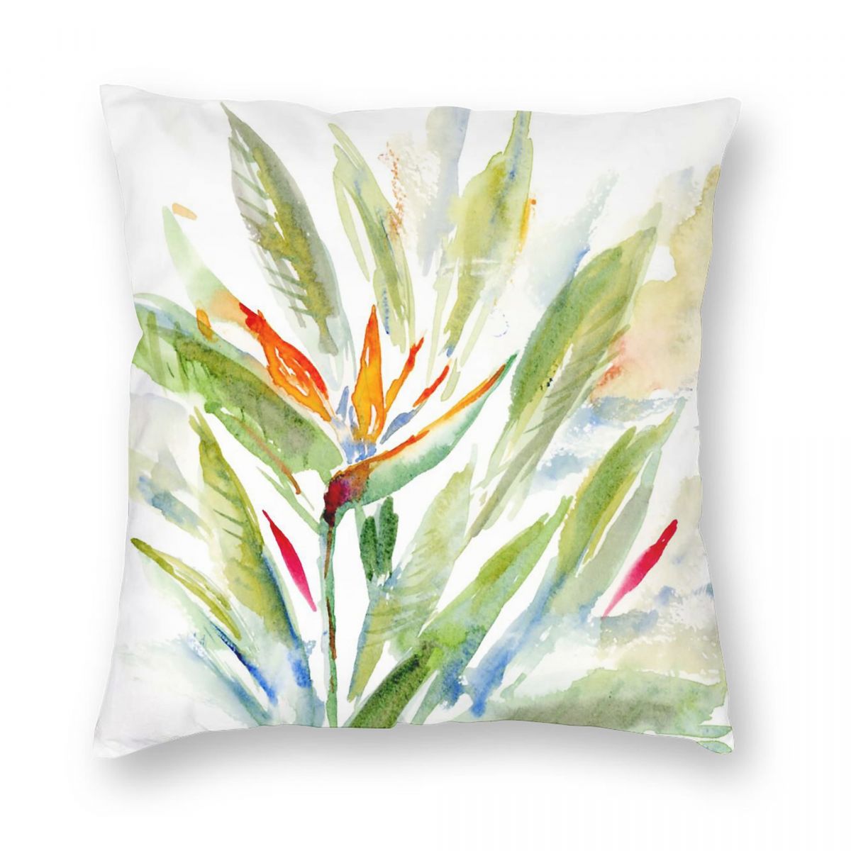 Bird Of Paradise Strelitzia Sq - огляд і ціна Bird Paradise Strelitzia