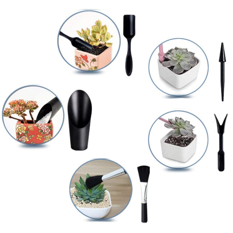 Mini Gardening Tool Set Label  - огляд і ціна Echeveria Succulent