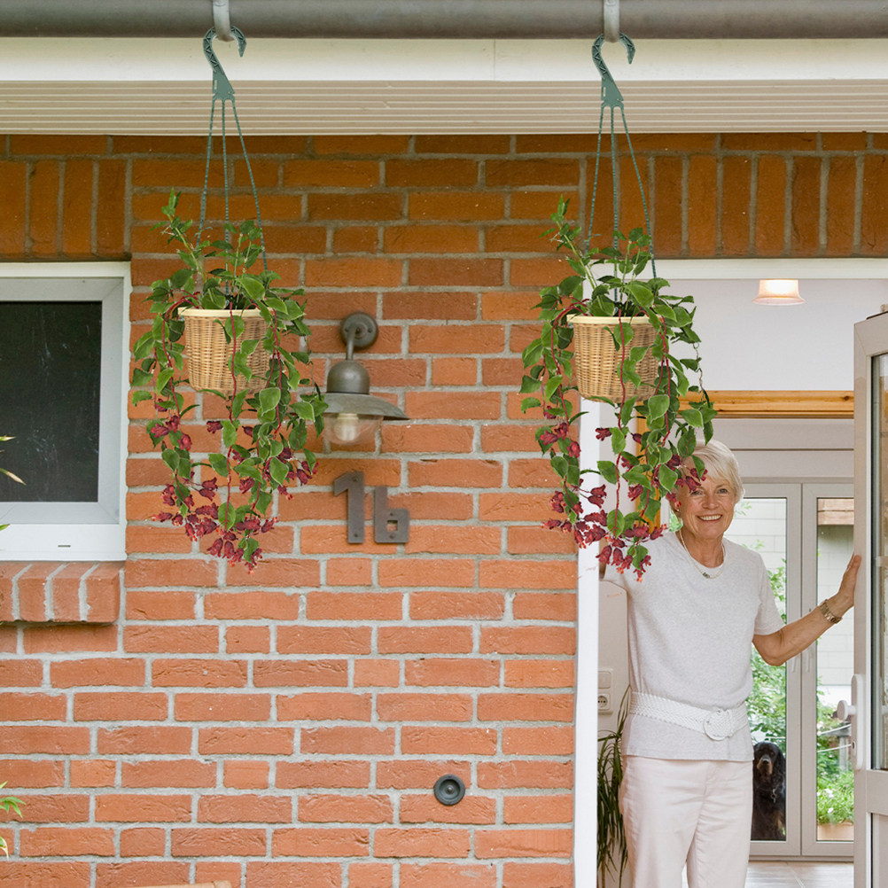 5Pcs Hanging Planter Hooks Ver - огляд і ціна Spider Plant Hanging