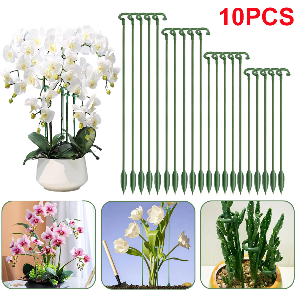5/10pcs Plant Support Stakes P - огляд і ціна Echeveria Succulent