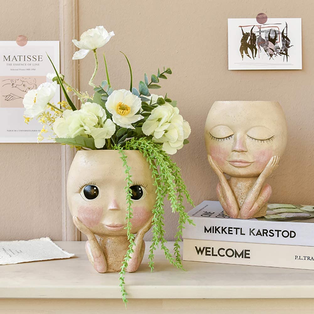 Girls Face Head Flower Planter - огляд і ціна Echeveria Succulent