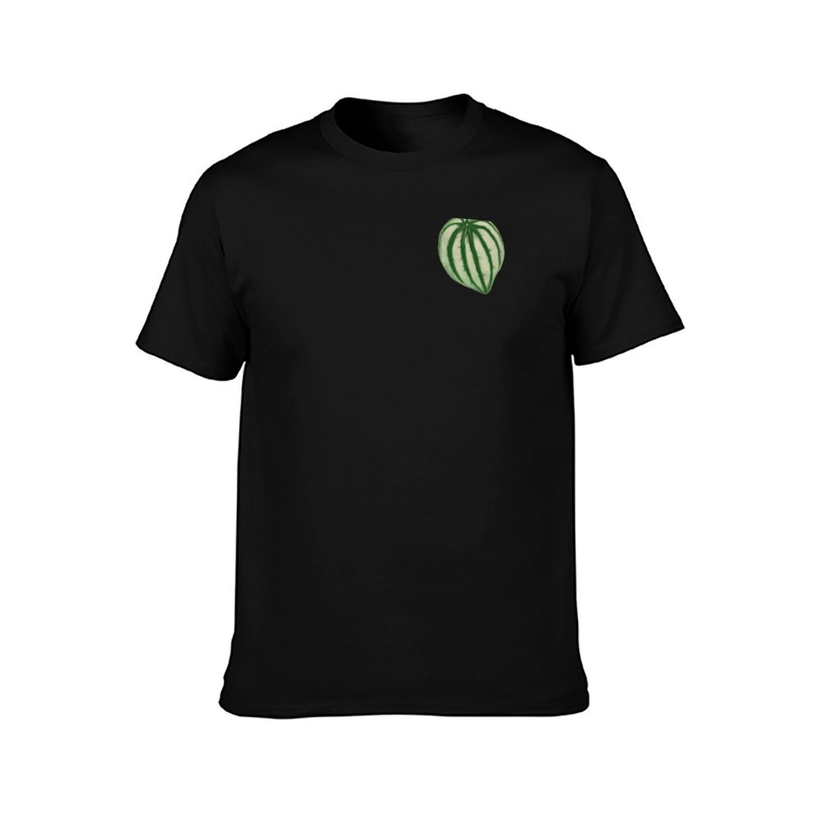 Watermelon Peperomia T-Shirt C - огляд і ціна Peperomia Watermelon