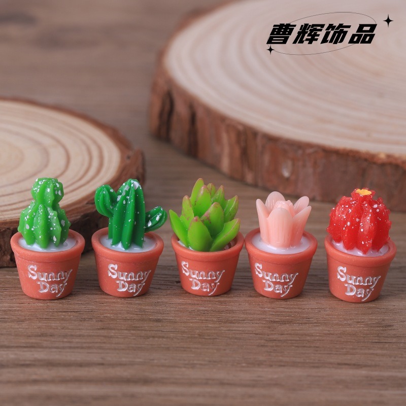 5pcs Simulation succulent pott - огляд і ціна Echeveria Succulent