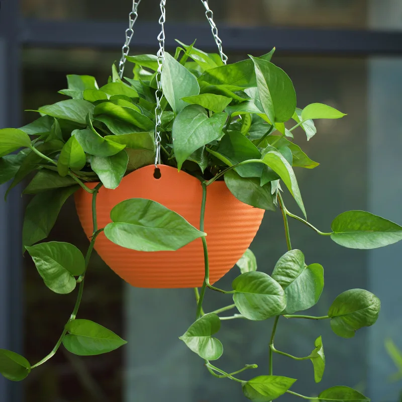 Plastic hanging basket flower  - огляд і ціна Spider Plant Hanging