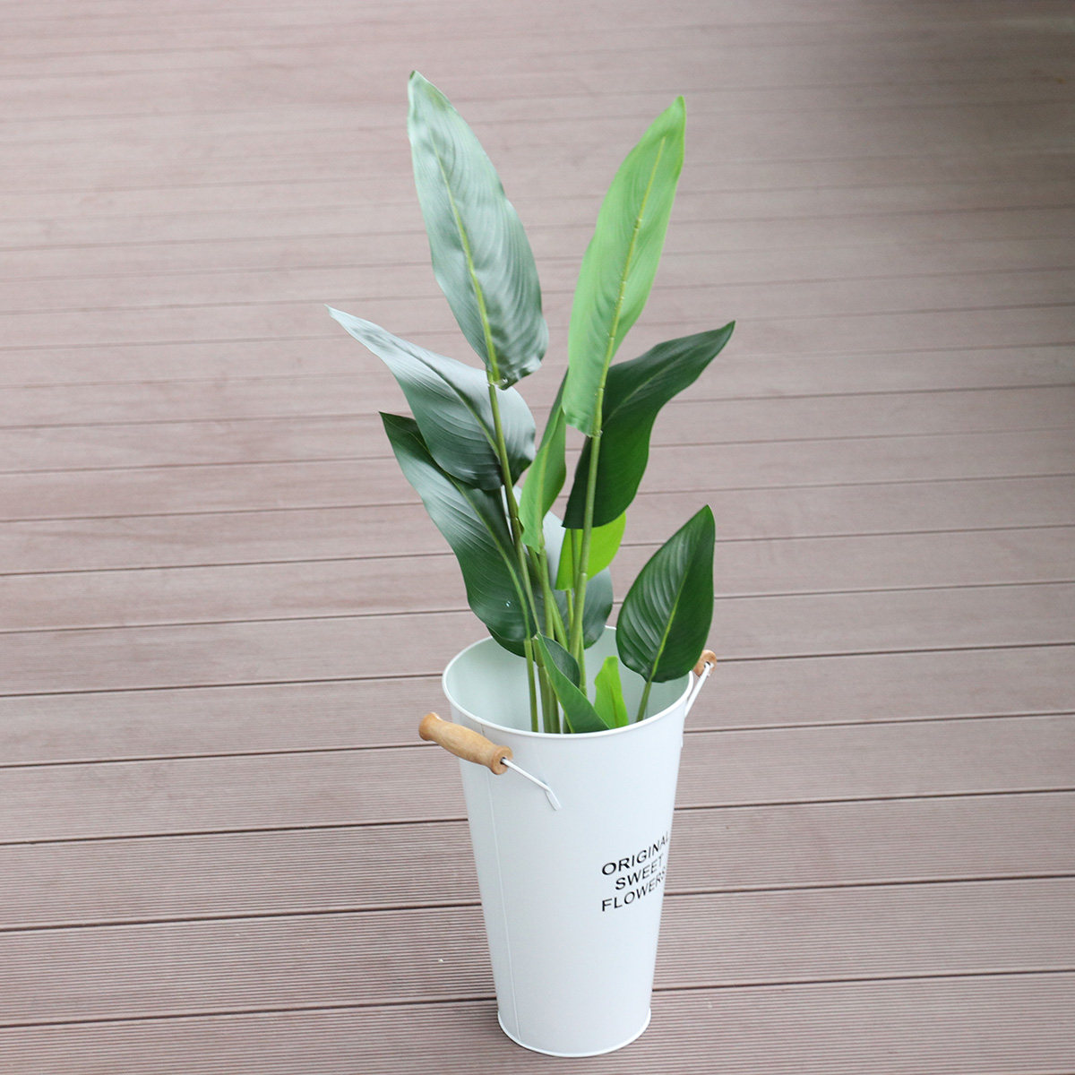 Wrought Iron Flower Vase Deskt - огляд і ціна Aloe Vera Pot