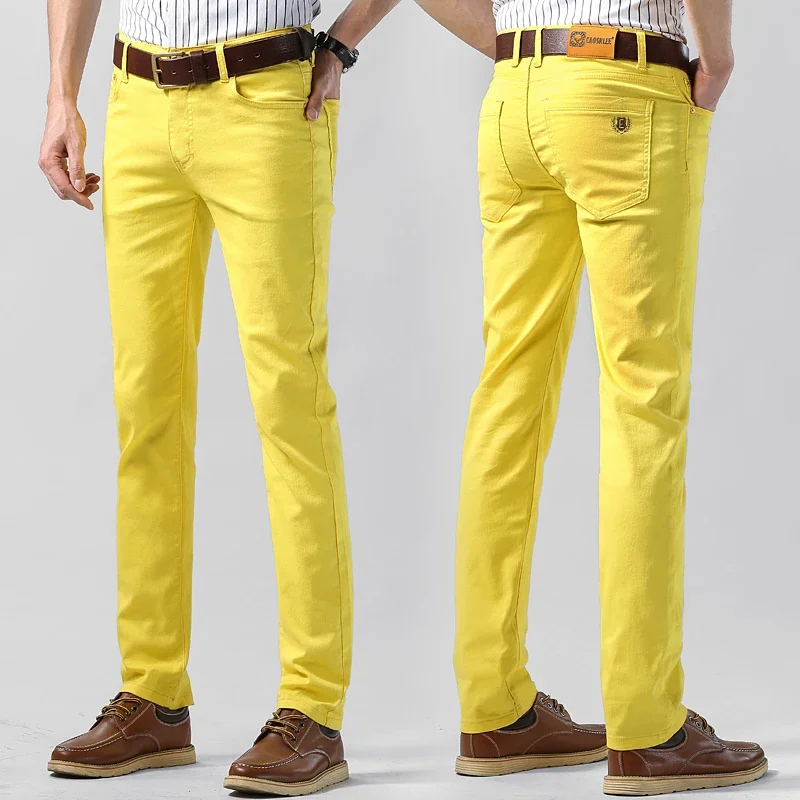 5 Colors Men's Colorful Denim  - огляд і ціна Aglaonema Red